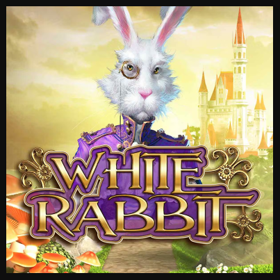 White Rabbit